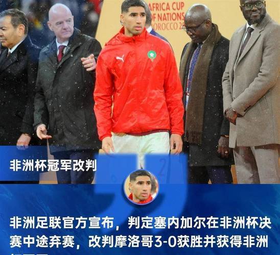 国际足联调查非洲杯决赛，国际足联调查非洲杯决赛球员