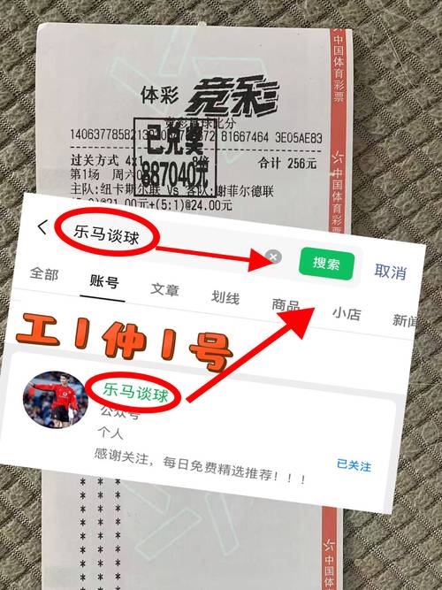 胜平负足球彩票，胜平负足球彩票网游快速版体会品牌赚中国